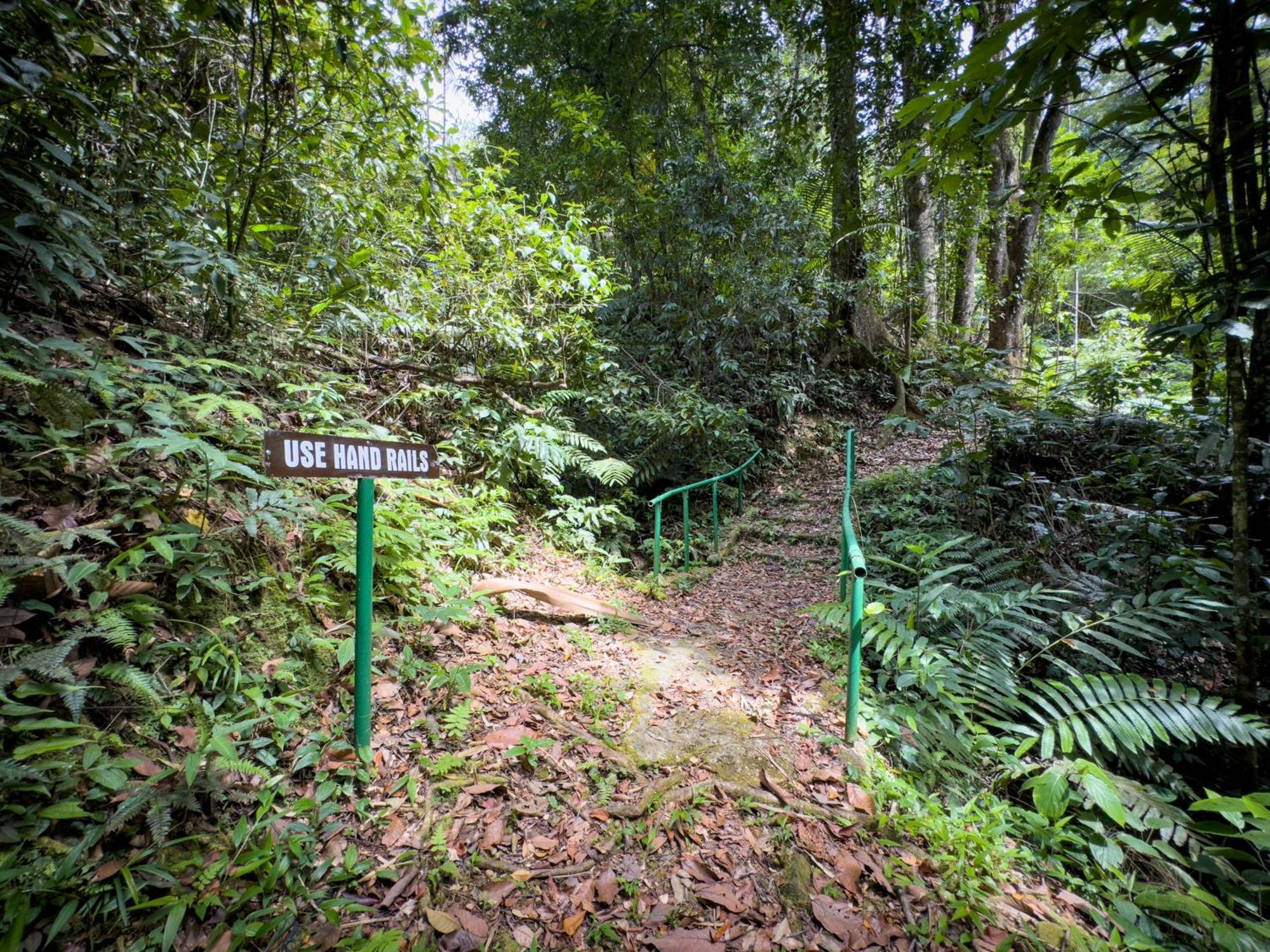 Hadco Experiences At Asa Wright Nature Centre Blanchisseuse Exteriör bild